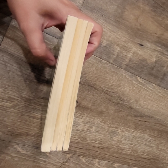 The Puppy Place Summer Reading Scholastics 4 book set - Reading level 2 - Picture 8 of 10